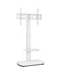 TTAP FS1-WHT Fs1 Floor Pedestal TV Stand In White, Upto 65inch, 7 Height Positions, Max 40Kg