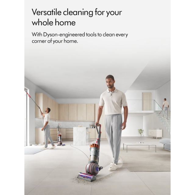Dyson BALLANIMALORIG Upright Vacuum Cleaner - Nickel/Silver